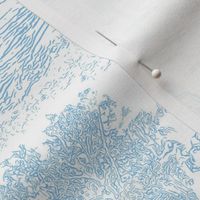 Medium Bald Head Island Toile de Jouy Ocean Blue 