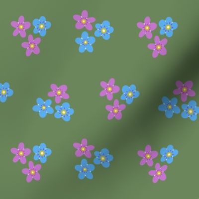 (S) Forget me not flowers on green