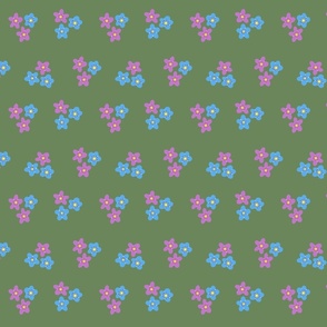 (S) Forget me not flowers on green