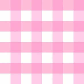 Barbiecore Pink Gingham Light Pink Classic Gingham on White