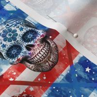 Patriotic Rebel Fusion American Flag And Skull Distressed Look Design III Extra Small