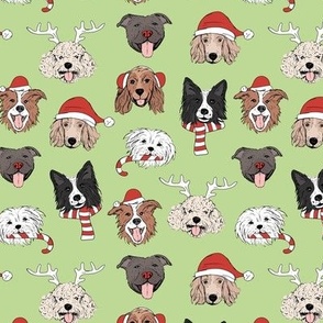 Christmas dogs - cute dressed up holiday puppies with antlers santa hats candy cane and sinter scarf and mittens on lime green 