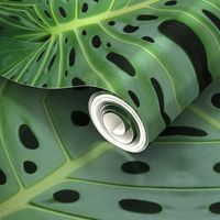 Monstera Leaf Philodendrum