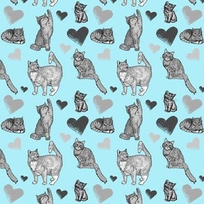 Cute Grey Cat Lovers Pattern In Blue