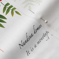 nandina_napkins