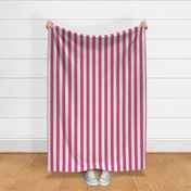 Cabana Stripes - Hot Pink & White