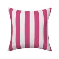 Cabana Stripes - Hot Pink & White