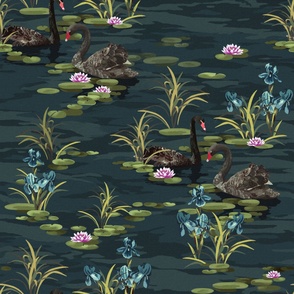 Swan Lake - Midnight Blue