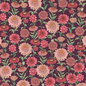 Paper Daisies Mulberry