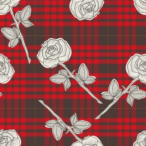 Fashionable Roses in Red Tartan
