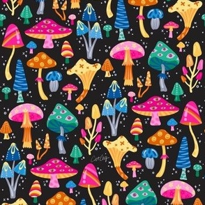 Mystic Mushrooms – Rainbow