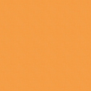 Cheerful Pastel Shades - Vintage Orange - Solid / Large