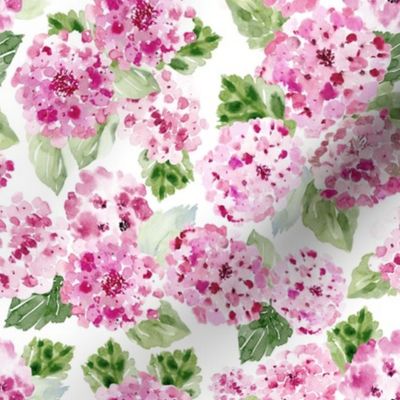 Hydrangea Watercolor Floral Pink