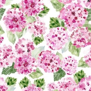 Hydrangea Watercolor Floral Pink