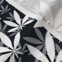 Bigger Scale Marijuana Cannabis Leaves White on Black
