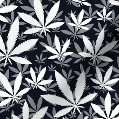 Bigger Scale Marijuana Cannabis Leaves White on Black