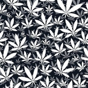 Smaller Scale Marijuana Cannabis Leaves White on Black