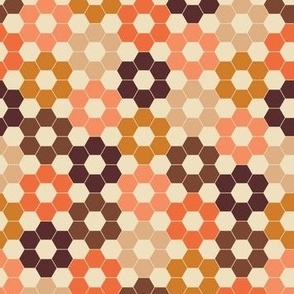 Hexagon flowers multicolored brown