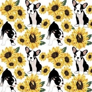 small print // Boston Terrier Puppies  yellow sunflowers denim white background