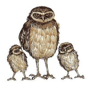 Owl Family Decal
