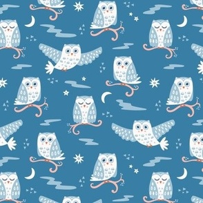 Tuwit Tuwoo, mid blue (Small) - sleepy cute owls, moon and stars