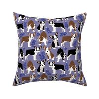 small size // Puppy Boston Terrier and Bluebonnet flowers with lavender background