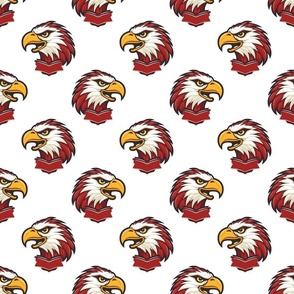 Hawks Eagles Falcon Mascot | Red - School Spirit College Team Cheer Collection