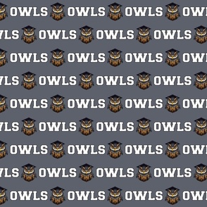 Owls Mascot Text | White on Dark Grey - School Spirit College Team Cheer Collection