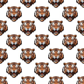 Tigers Bengals Mascot | Orange - School Spirit College Team Cheer Collection