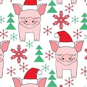 large Christmas pigs