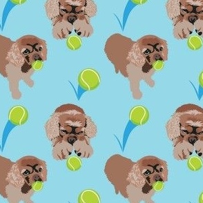 small print // Cocker Spaniel Dog and Tennis Balls 