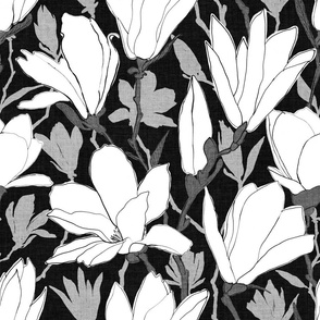 Painted White Magnolia Flowers on black with grey