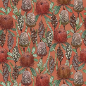 Banksias Peach
