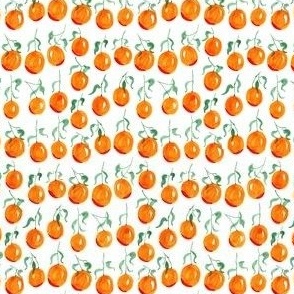 (x-small) watercolor oranges