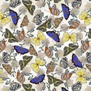 Butterflies Neutral