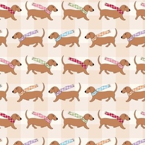 dachshunds (sausage dogs) with colourful gingham scarves 6 x 6 in