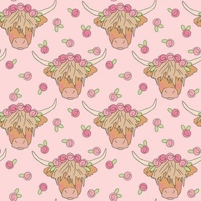 medium highland cows and roses on pink