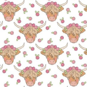 highland cows and roses