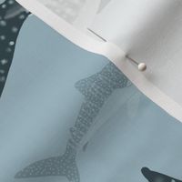 Whale Sharks Swimming