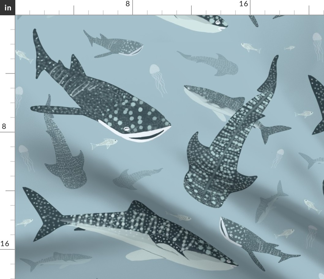 Whale Sharks Swimming