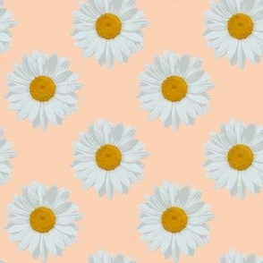 Daisies on Apricot Crush: Small