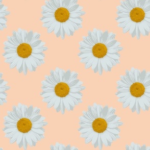 Daisies on Apricot Crush: Medium