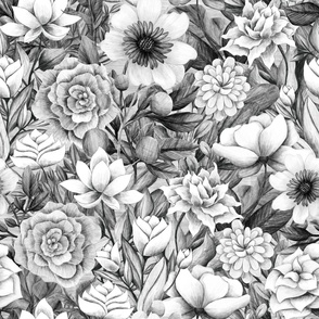 Hand-Drawn Floral Flourish: Graphite Botanical Drawing / Large