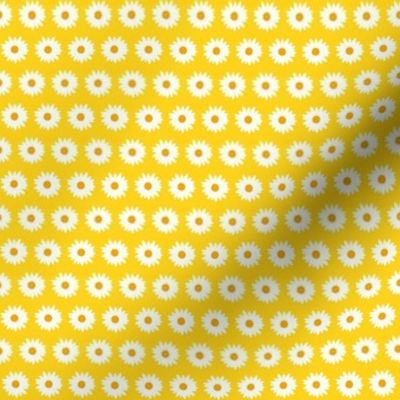 daisy on yellow - small