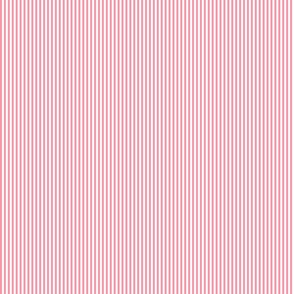 stripe - pink and white