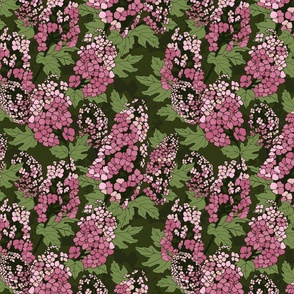 Oakleaf Hydrangea Pink and Green 