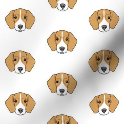 beagle face