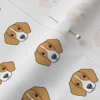 tiny beagle face