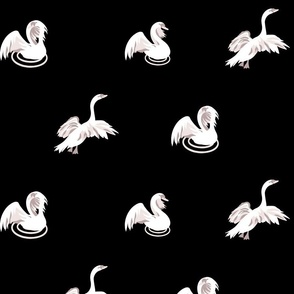 Enchanting Parisian Swans on black (medium 10x10)