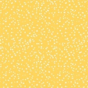 confetti cream on muted yellow